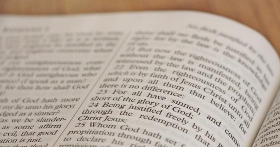 Una Bibbia aperta, parole sacre che ispirano fede e riflessione.
