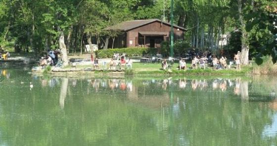 Lago tranquillo, riflessi verdi, persone rilassate, natura serena, giornata soleggiata.