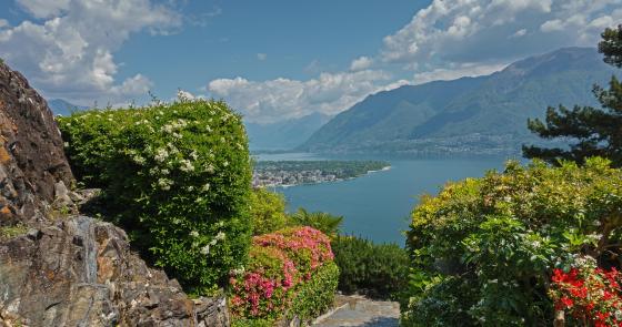 Sentiero fiorito con vista lago e montagne, cielo limpido.