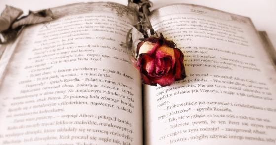 Libro antico con rosa secca, atmosfera romantica e nostalgica.