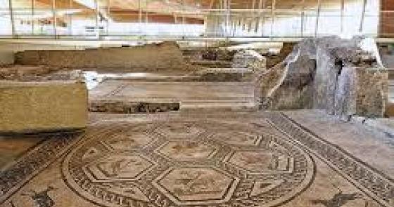 Mosaico antico con motivi geometrici e animali, evoca storia e meraviglia.