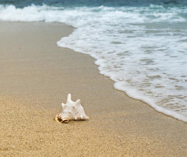 Sol y Mar: Eleganza e Tradizione sulla Spiaggia di Riccione