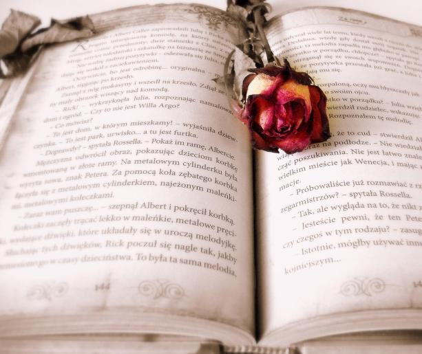 The Bookish: la rivoluzione silenziosa delle pagine