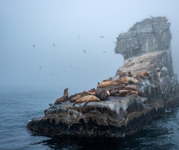 Hidden Island: il mistero non vuole essere trovato