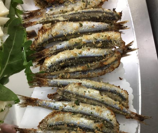 🍽️ Ristorante Da Fino – Riccione: Tradizione Marinara con Vista sul Porto