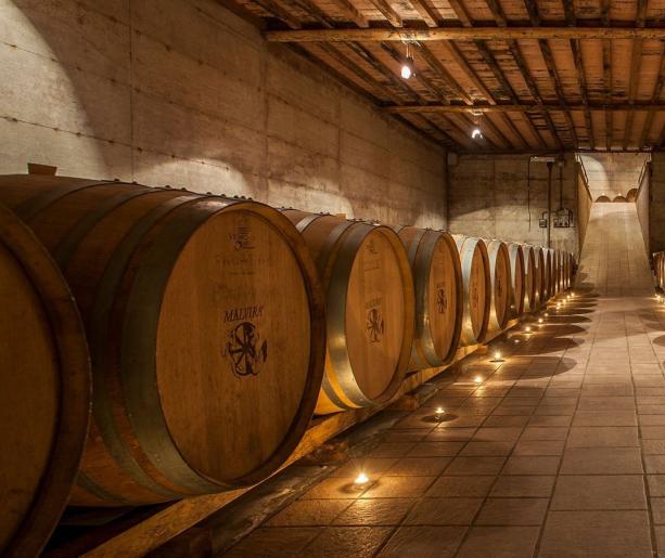 THE BEST WINERIES OF ROMAGNA